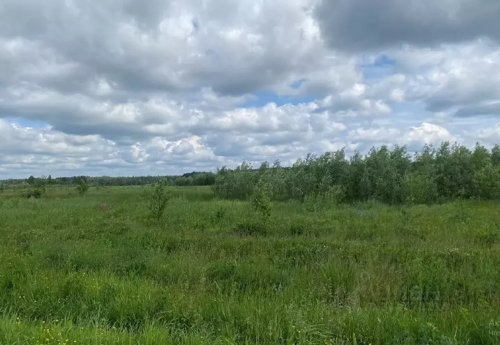 Участок в Московская область, Дмитровский муниципальный округ, д. ... - Фото 0