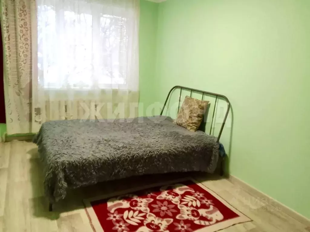 2-к кв. Новосибирская область, Новосибирск Затулинский жилмассив, ул. ... - Фото 2