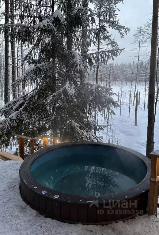 Дом в Ленинградская область, Выборгский район, Рощино пгт  (60 м) - Фото 2