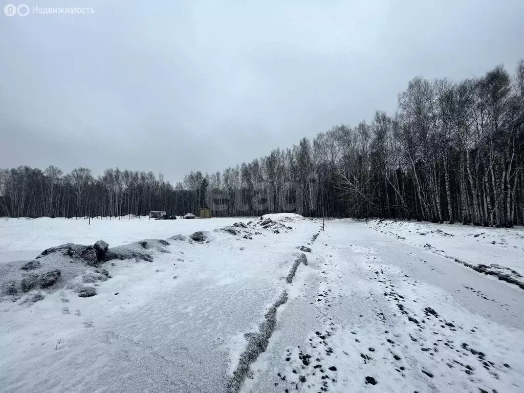 Участок в Тюменский муниципальный округ, Переваловское муниципальное ... - Фото 2