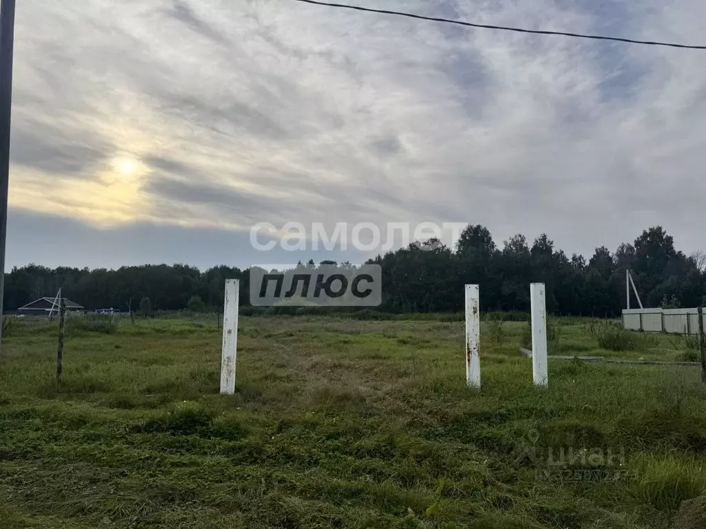 Участок в Челябинская область, Кунашакский муниципальный округ, д. ... - Фото 1