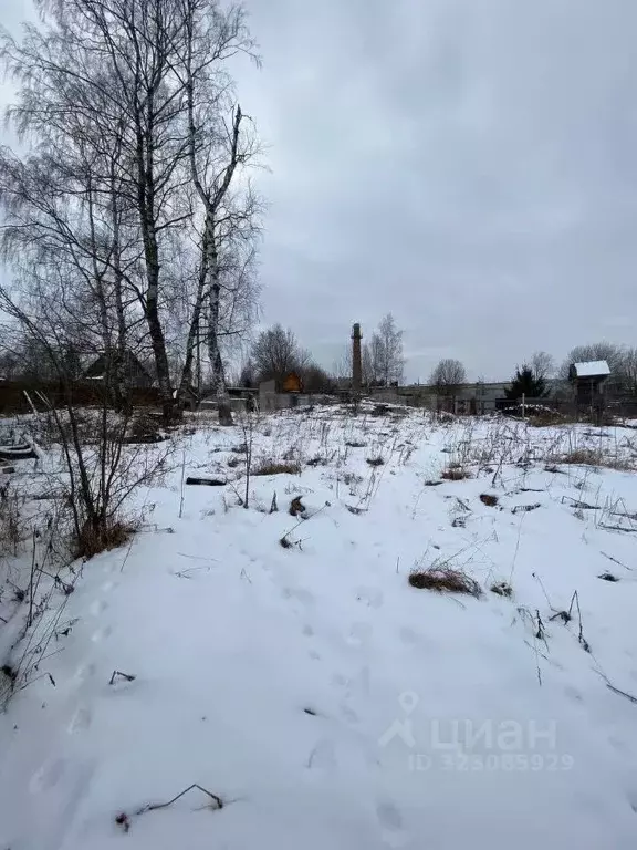 Участок в Вологодская область, с. Мосейково  (12.5 сот.) - Фото 0