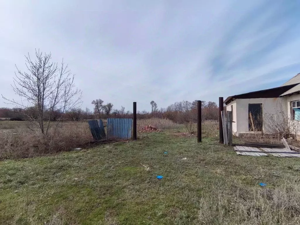 Участок в Оренбургская область, Оренбургский район, с. Дедуровка ул. ... - Фото 1