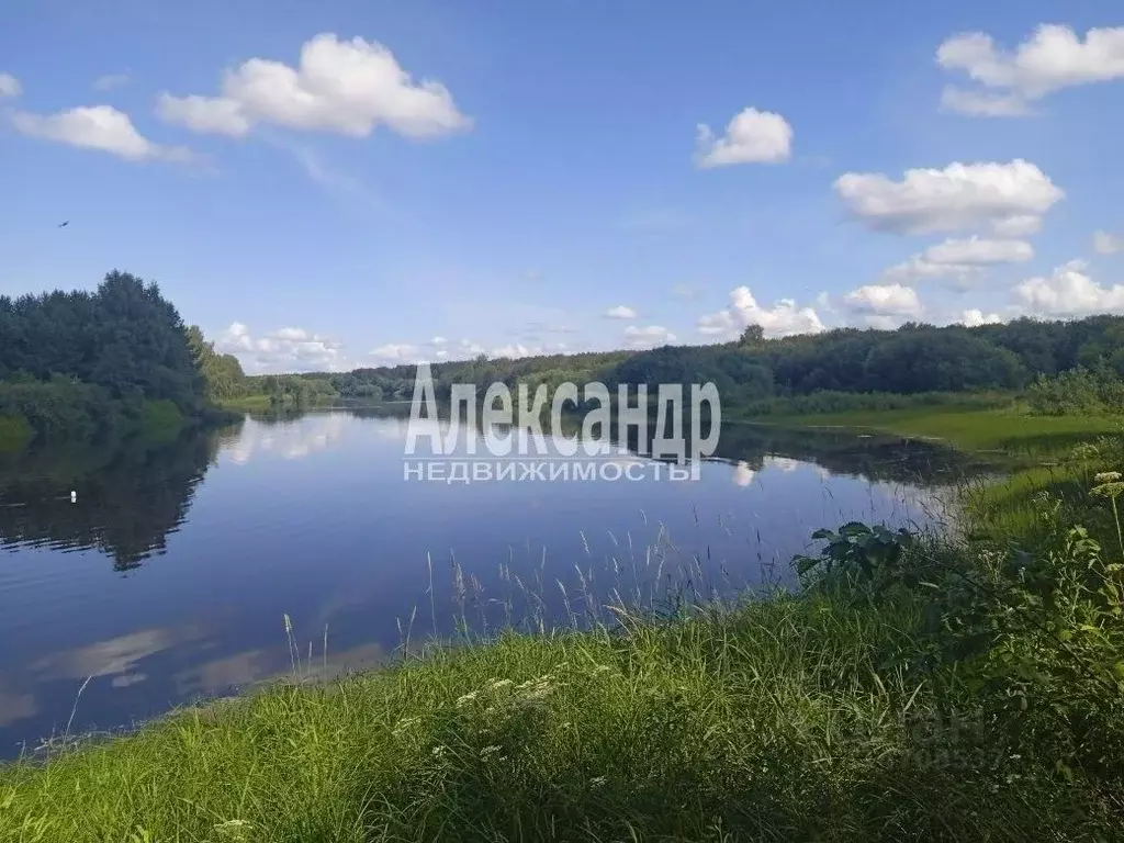 Участок в Ленинградская область, Лодейнопольский район, Алеховщинское ... - Фото 1