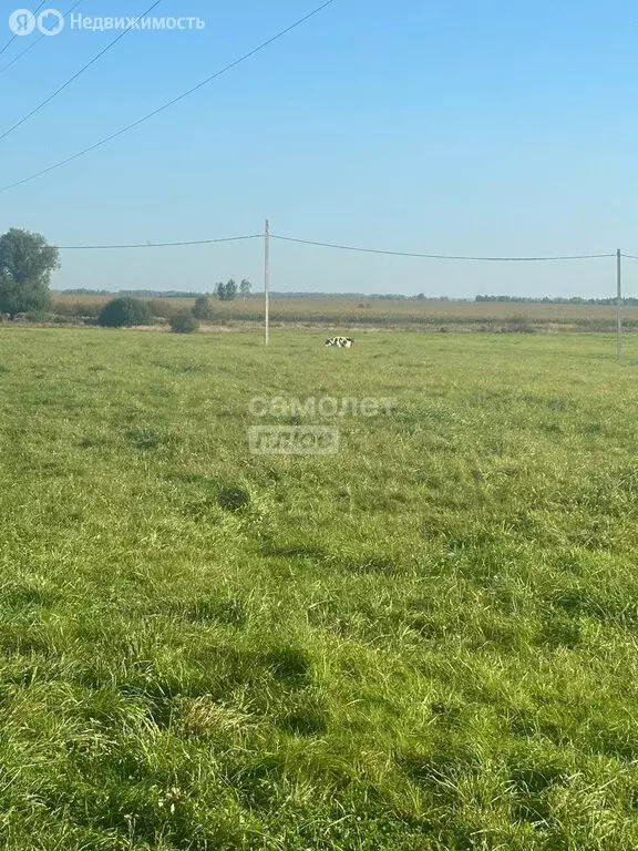 Участок в Шишково, Луговая улица (10 м) - Фото 1