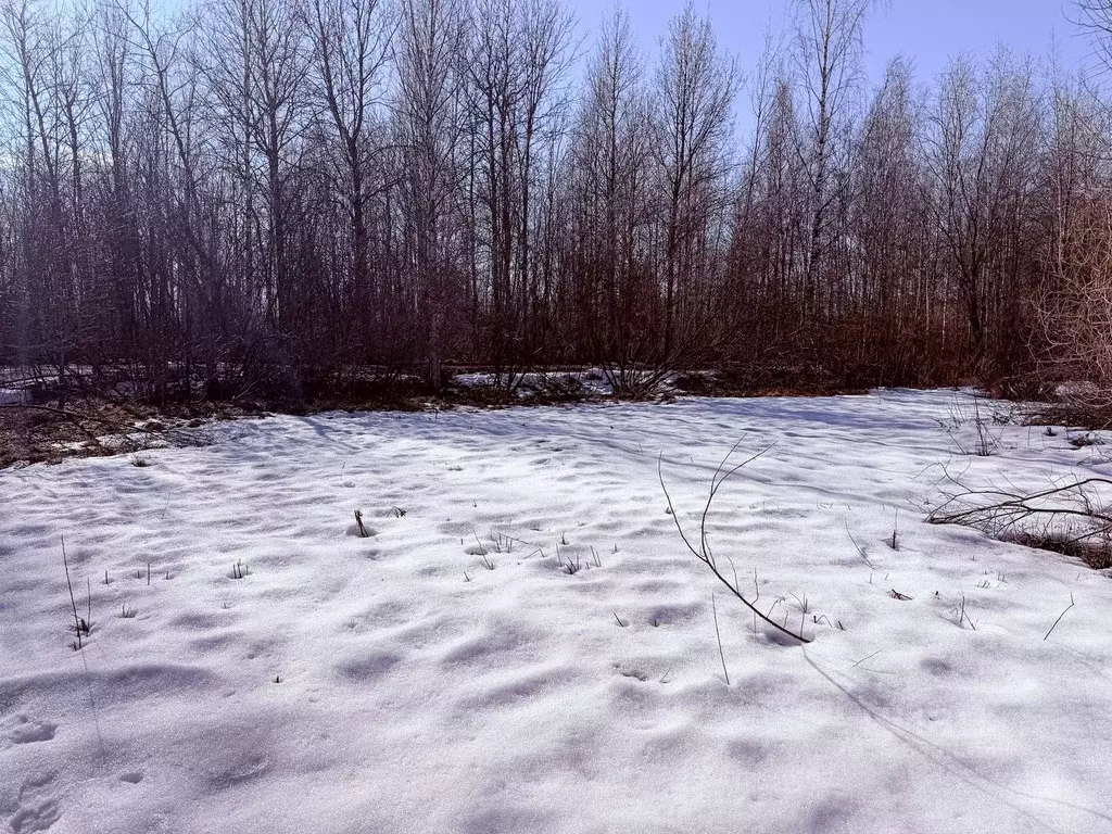 Участок в Санкт-Петербург, Санкт-Петербург, Павловск Уголек СНТ, 2-я ... - Фото 1