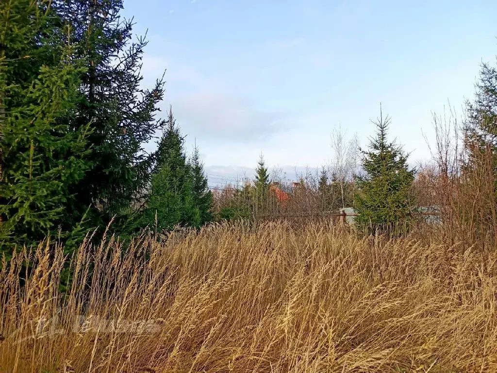 Продается участок в КП Скоротово - Фото 1