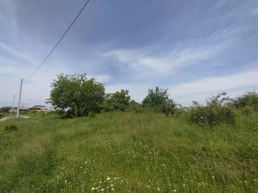 Участок в Кабардино-Балкария, Чегемский район, с. Шалушка  (10.0 сот.) - Фото 1