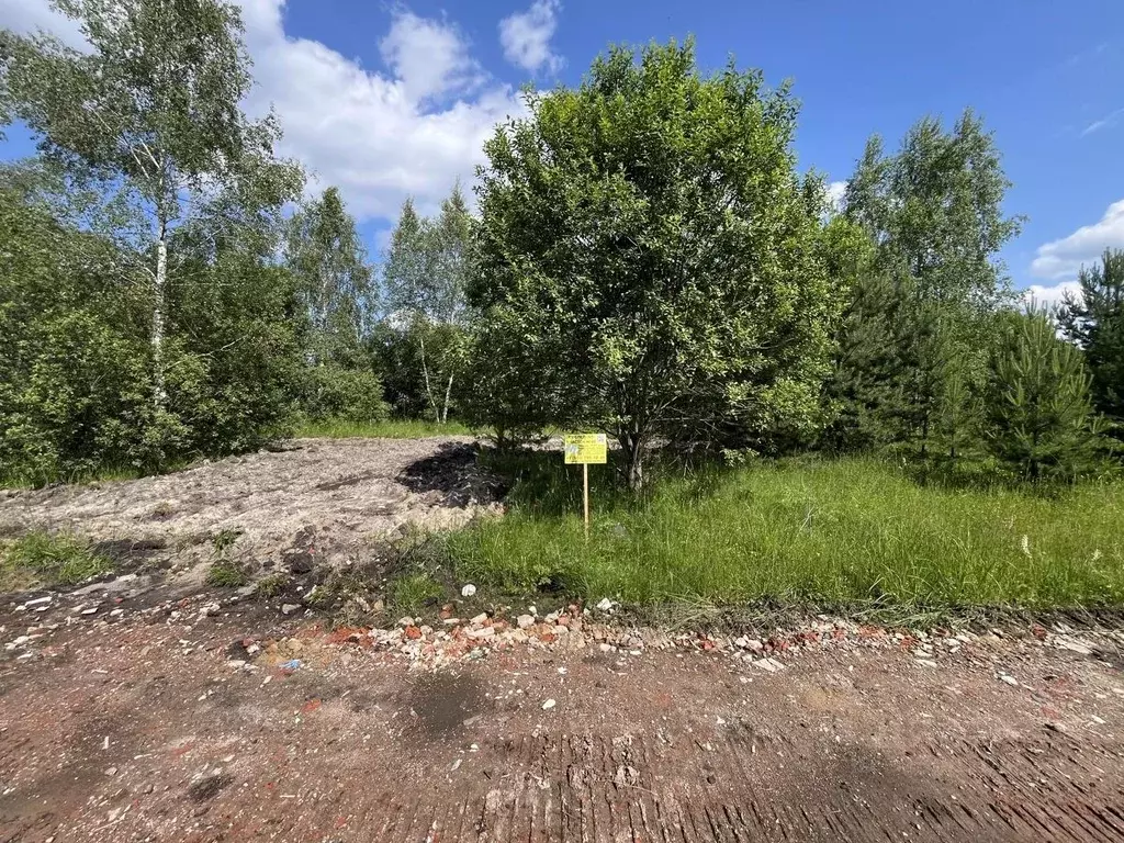 Участок в Московская область, Богородский городской округ, Следово кп ... - Фото 1