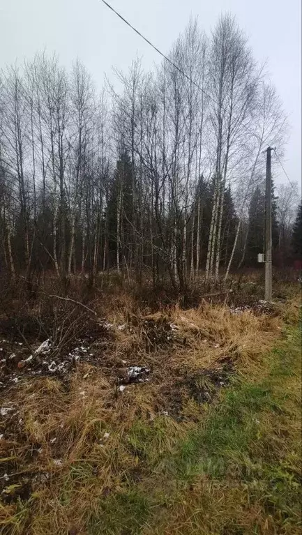 Участок в Калужская область, Малоярославецкий муниципальный округ, ... - Фото 1