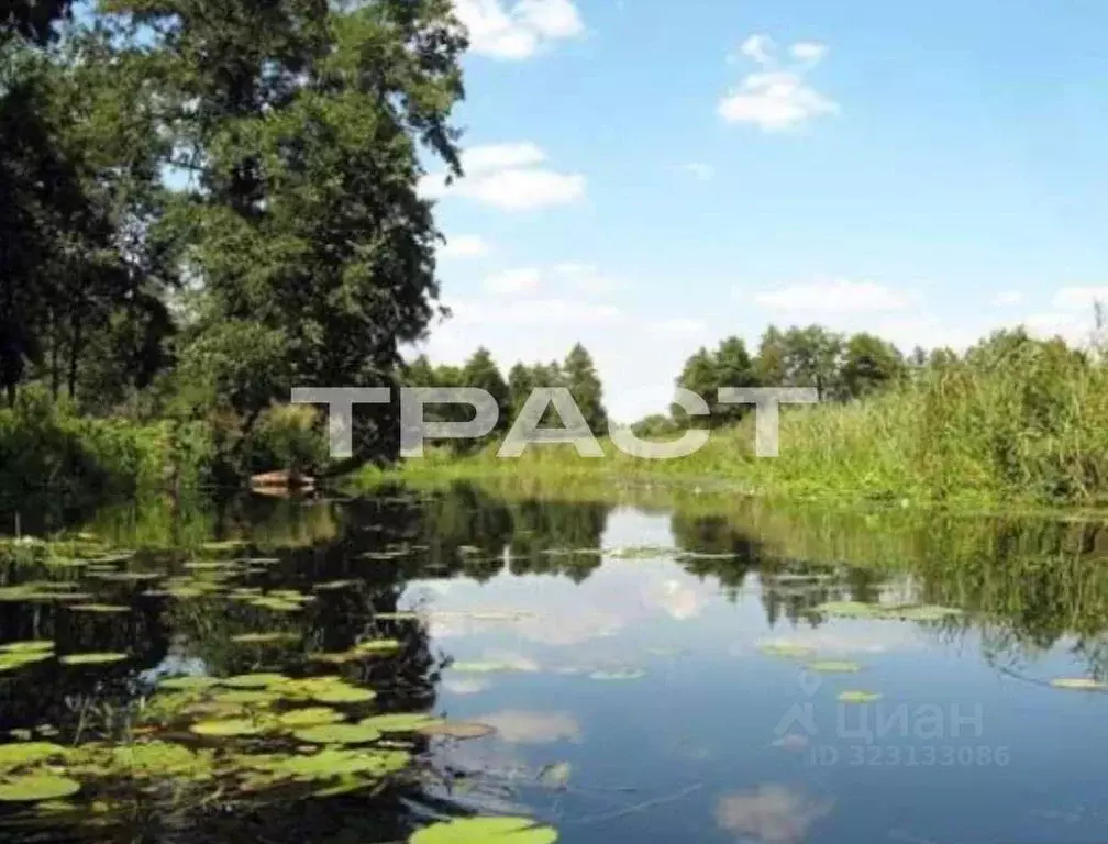 Дом в Воронежская область, Новоусманский район, Хреновское с/пос, с. ... - Фото 1