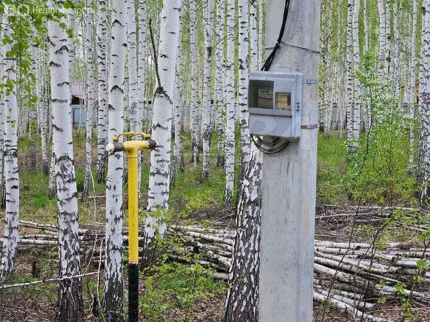 Участок в Нижнетавдинский район, садоводческое некоммерческое ... - Фото 1