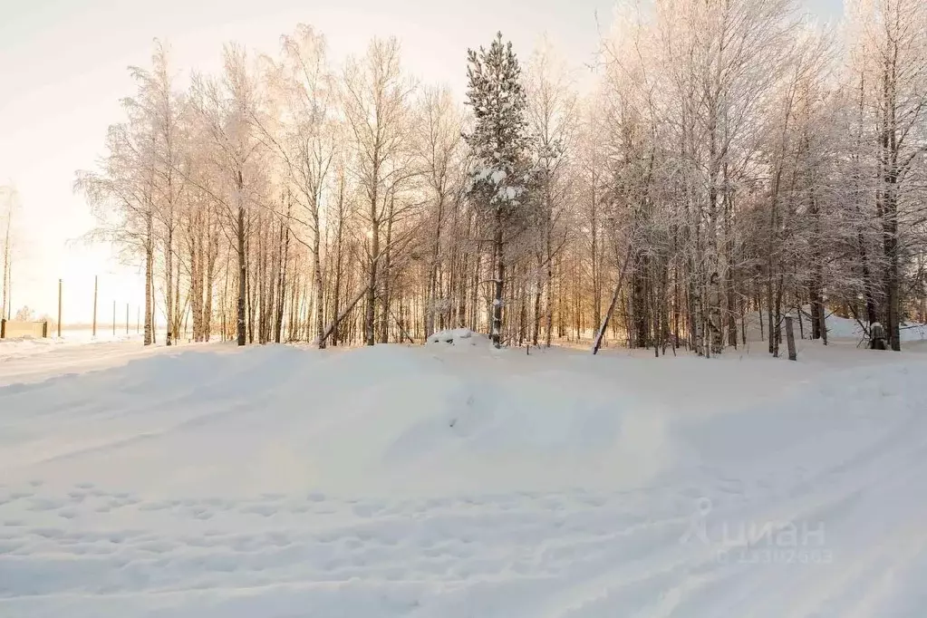 Участок в Ханты-Мансийский АО, Сургутский район, Горизонт СТСН ул. ... - Фото 1