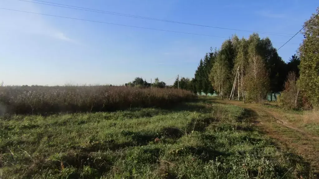 Участок в Московская область, Рузский муниципальный округ, д. Лысково  ... - Фото 0