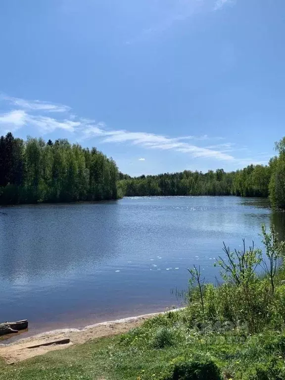 Участок, 88 сот., сельхоз (снт или днп) - Фото 1