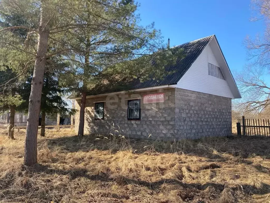 Торговая площадь в Смоленская область, Демидовский муниципальный ... - Фото 1
