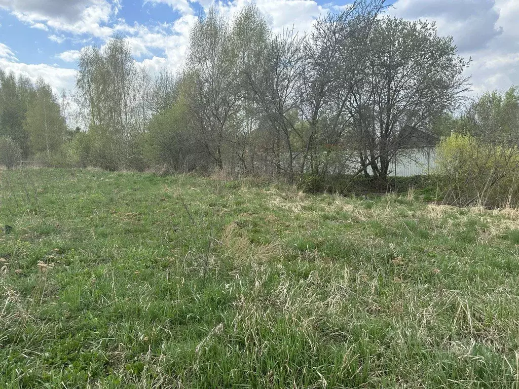 Участок в Московская область, Богородский городской округ, д. Исаково ... - Фото 1