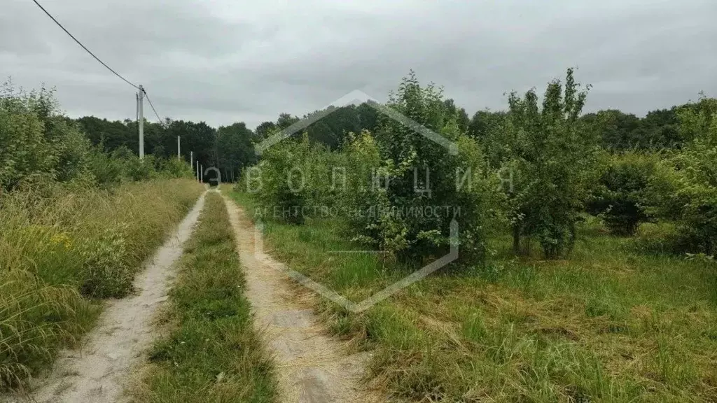 Участок в Калининградская область, Зеленоградский муниципальный округ, ... - Фото 1