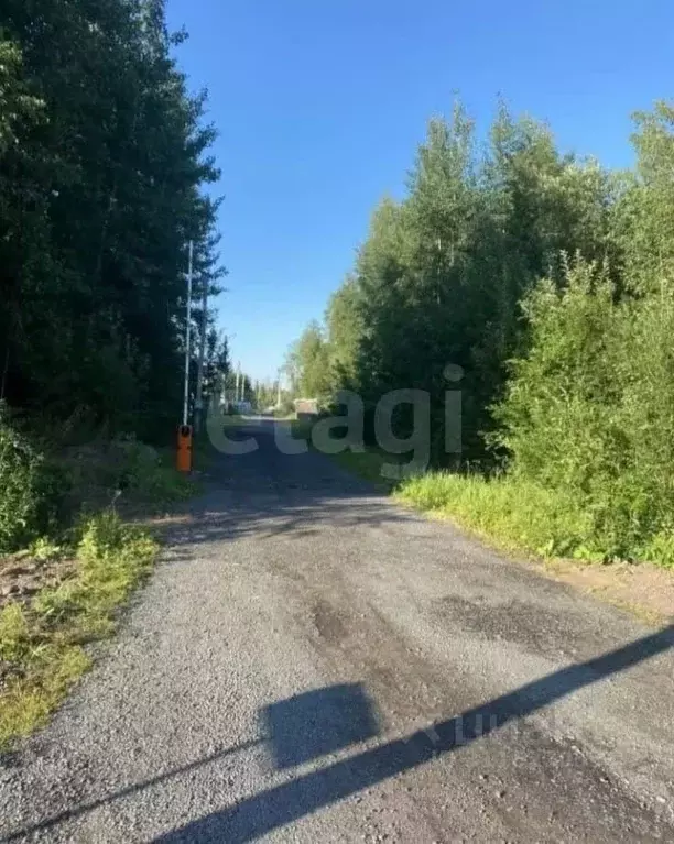 Участок в Ленинградская область, Сертолово Всеволожский район, Слобода ... - Фото 0