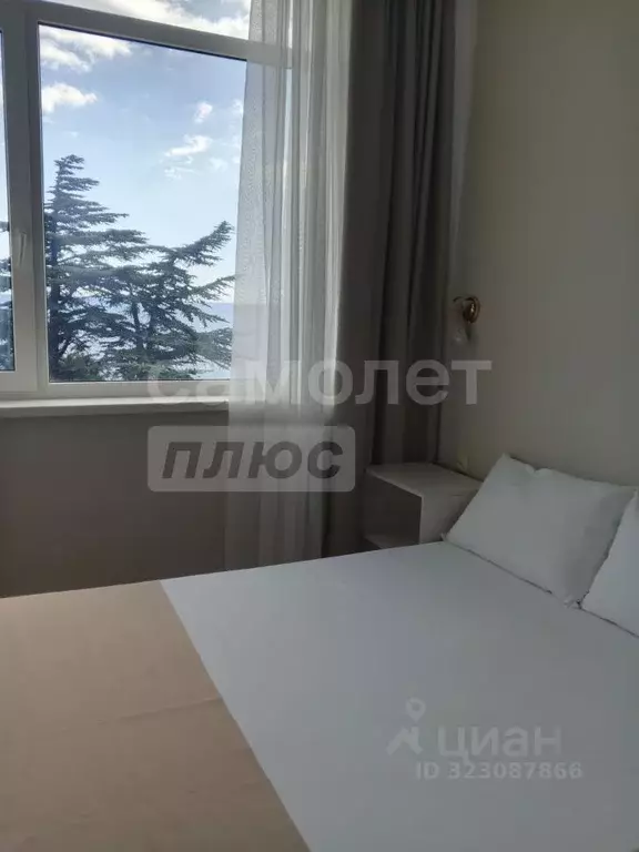 Студия Крым, Ялта муниципальный округ, Симеиз пгт ул. Владимира ... - Фото 1