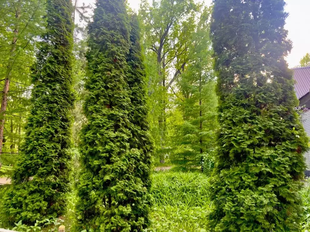 Комната Самарская область, Красноярский район, Волжский рп ул. ... - Фото 1