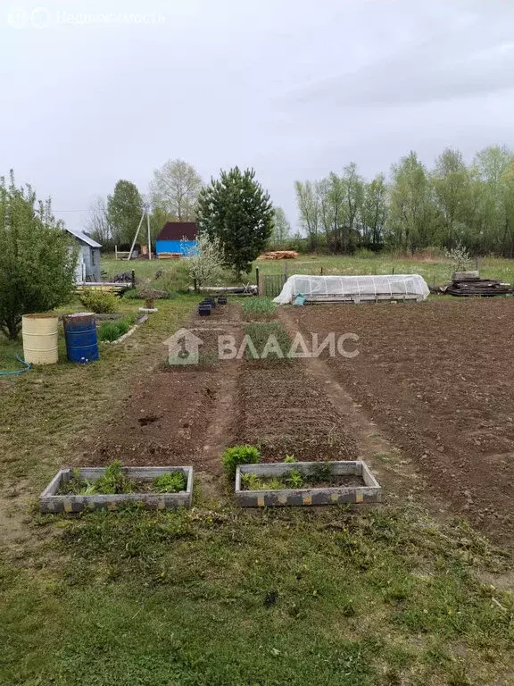 Участок в Башковское сельское поселение, садоводческое товарищество ... - Фото 1