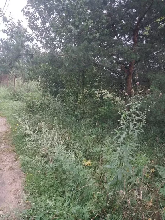 Участок в Московская область, Орехово-Зуевский городской округ, д. ... - Фото 0