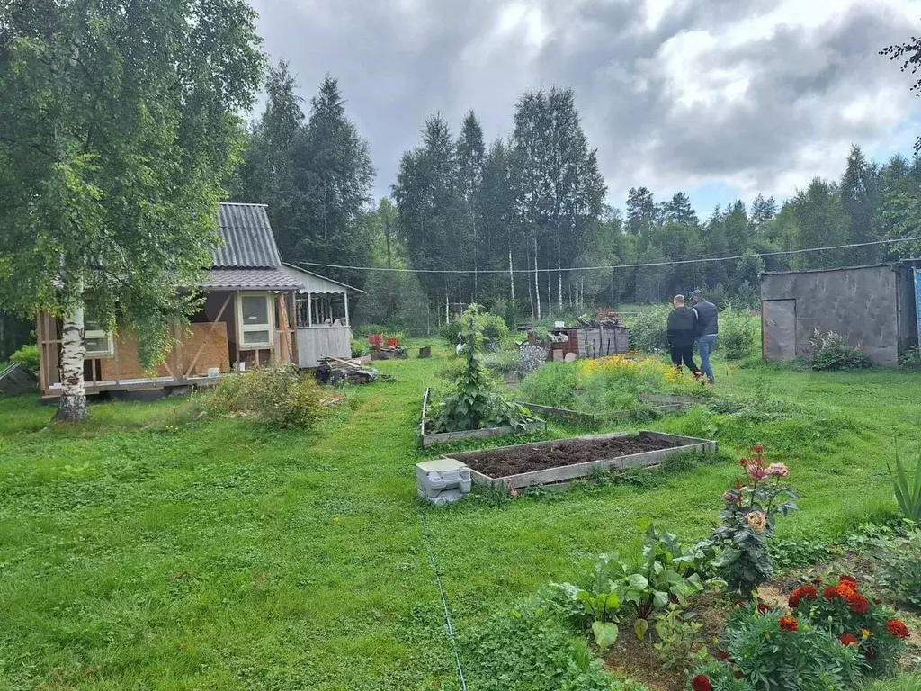 Дача 36 м на участке 15 сот. - Фото 0