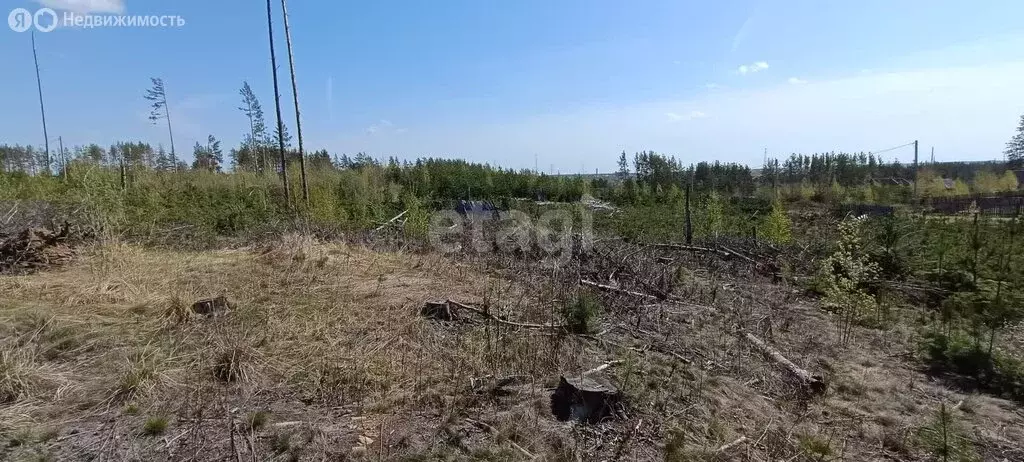 Участок в Кыштым, Ясная улица (11.7 м) - Фото 1