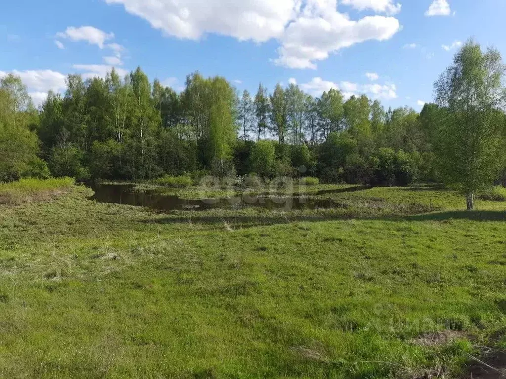 Участок в Ярославская область, Ярославский муниципальный округ, ... - Фото 1