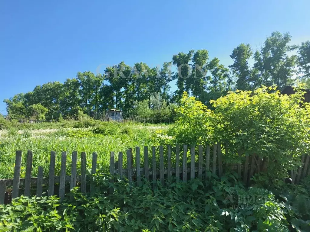 Участок в Алтай, Горно-Алтайск пер. Лисавенко (10.0 сот.) - Фото 1