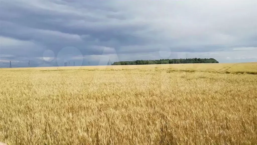 Участок в Московская область, Ступино городской округ, с. Чернышово ... - Фото 1
