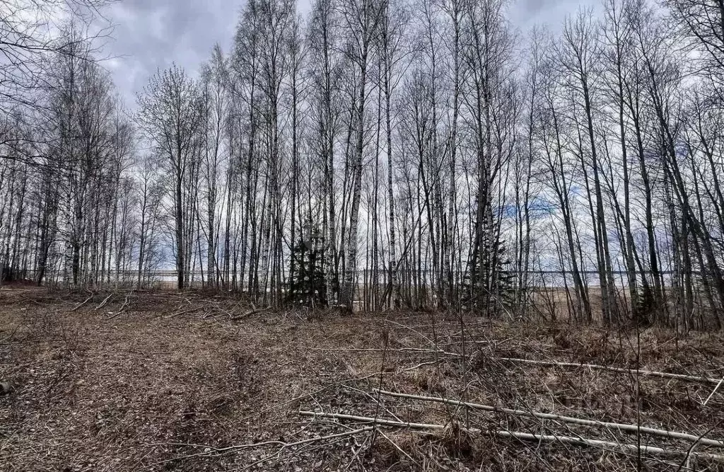 Участок в Ханты-Мансийский АО, Ханты-Мансийск Светлана СОТ,  (100.0 ... - Фото 0