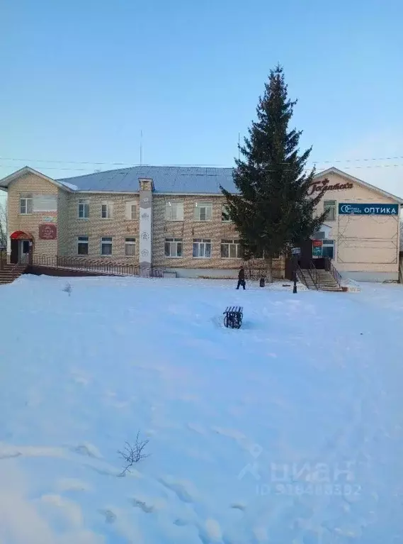 Помещение свободного назначения в Нижегородская область, с. Большое ... - Фото 0