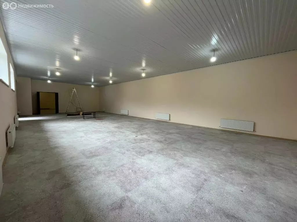 Помещение свободного назначения (850 м) - Фото 1
