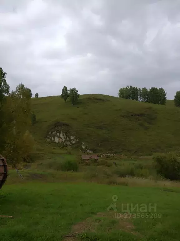 Участок в Алтайский край, Алтайский район, с. Алтайское  (20000.0 ... - Фото 2