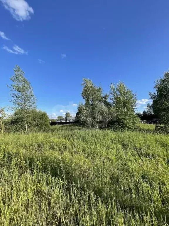 Участок в Архангельская область, Котлас ул. Степана Разина (10.0 сот.) - Фото 1