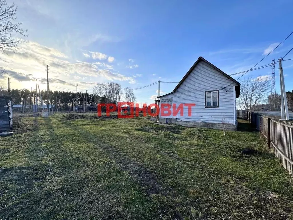 Участок в Новосибирская область, Тогучинский район, с. Усть-Каменка ... - Фото 1