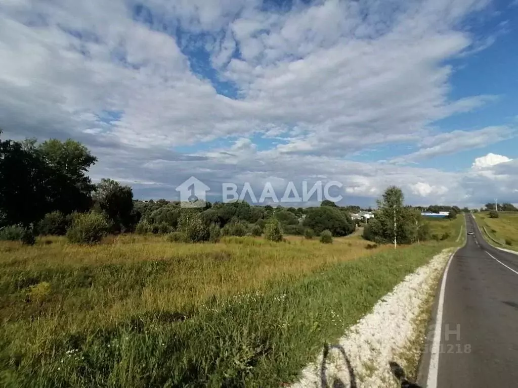 Участок в Владимирская область, Суздальский район, Павловское ... - Фото 0