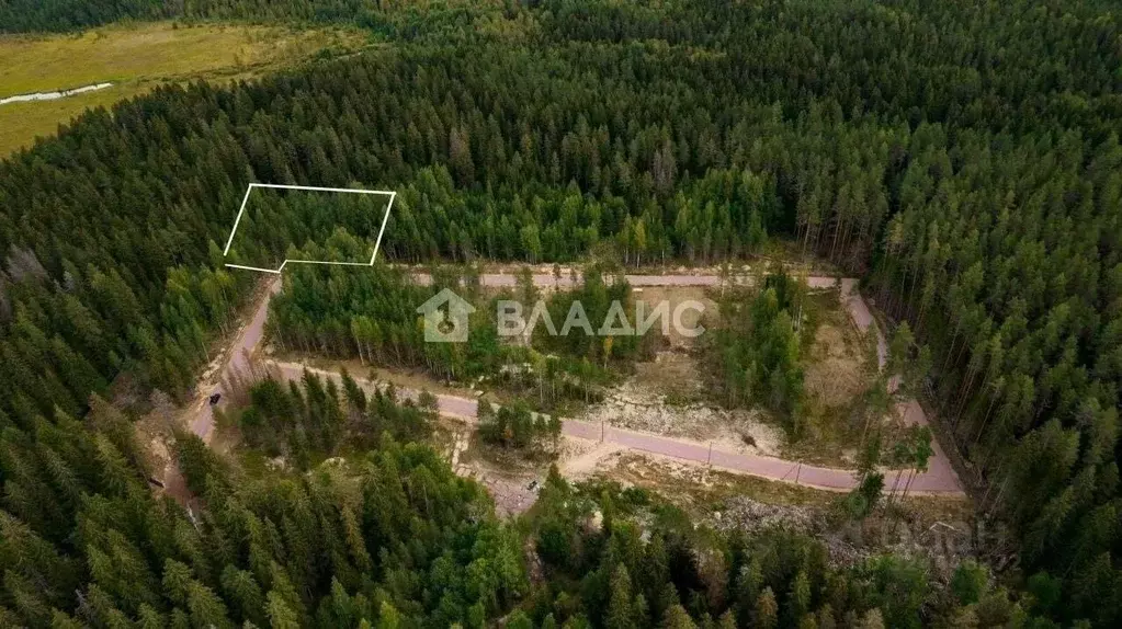Участок в Ленинградская область, Выборгский район, Рощино пгт проезд ... - Фото 1