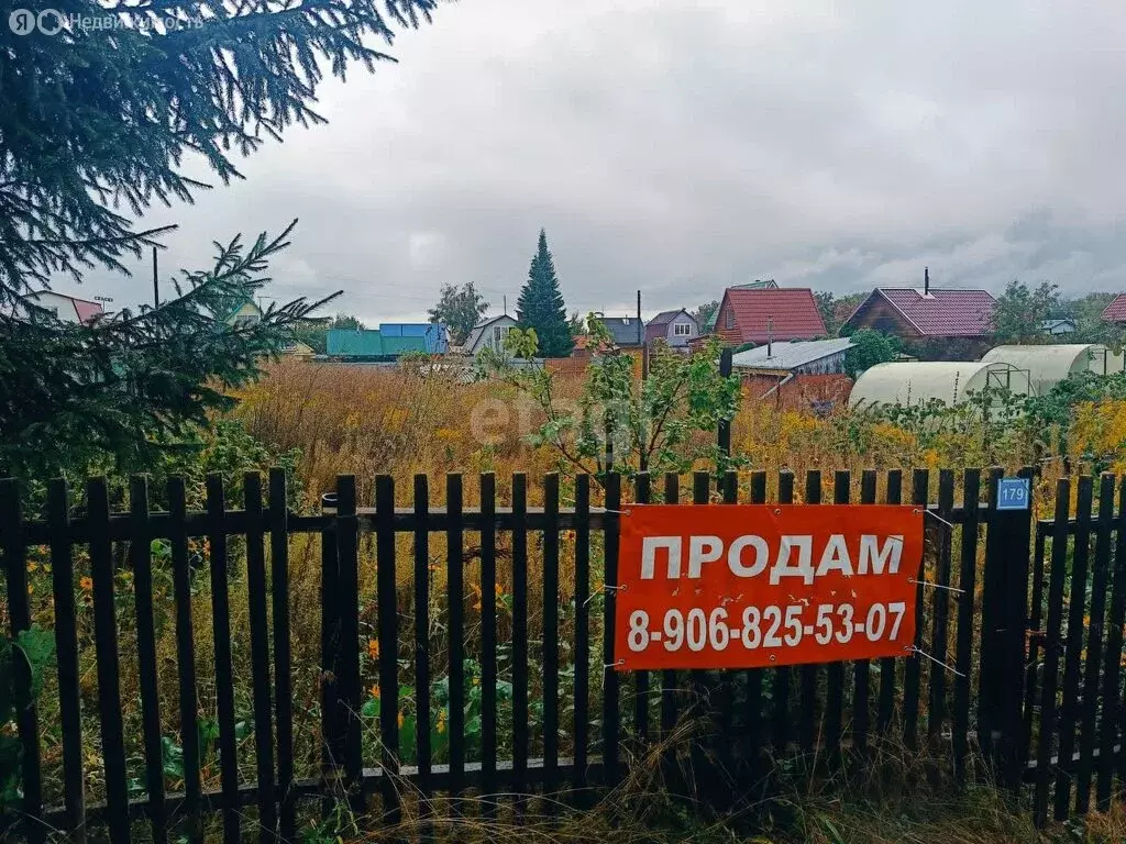 Участок в Бердск, садоводческое некоммерческое товарищество Радостное ... - Фото 1