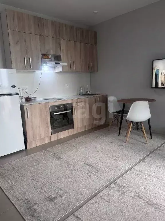 Студия Башкортостан, Уфа ул. Уфимское Шоссе, 24/1 (30.0 м) - Фото 1