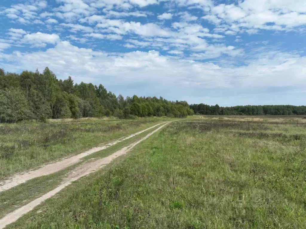 участок в московская область, можайский городской округ, можайские . - Фото 0