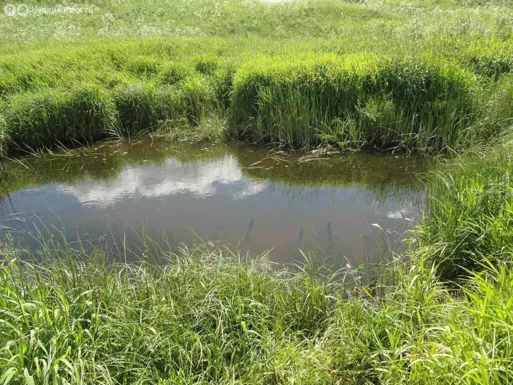 Участок в Ярославская область, Мышкинский муниципальный округ, деревня ... - Фото 1