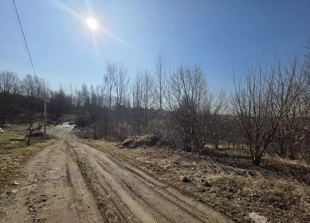 Участок в Ленинградская область, Всеволожский район, Колтушское ... - Фото 2