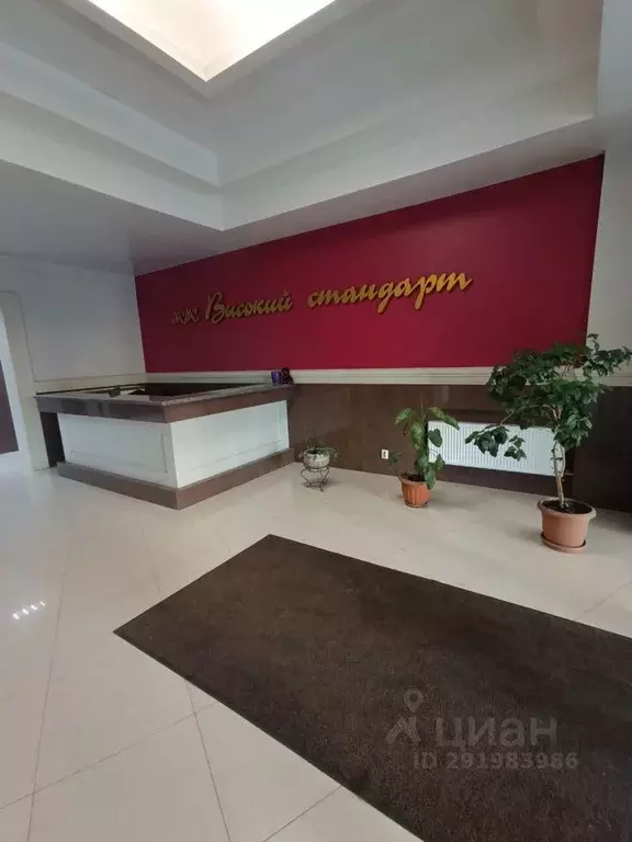 Студия Карелия, Петрозаводск ул. Чапаева, 42А (22.0 м) - Фото 2