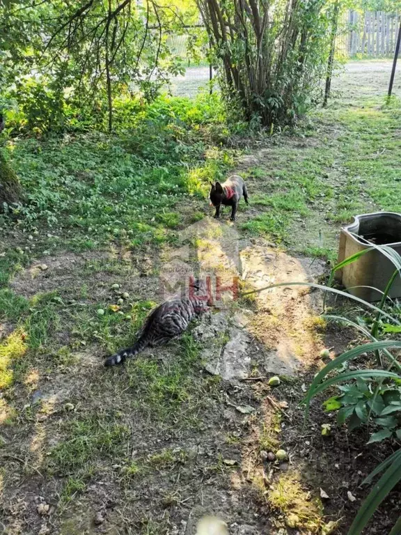 Дом в Тверская область, Конаковский муниципальный округ, д. Марьино ... - Фото 2