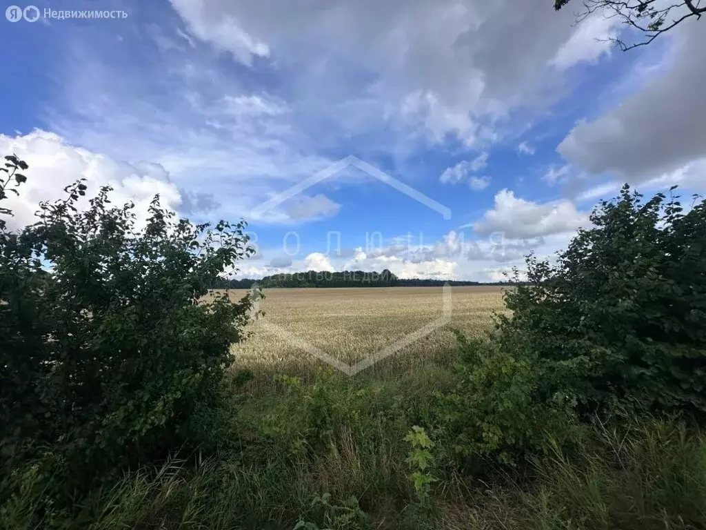 Участок в Калининградская область, Гурьевский муниципальный округ, ... - Фото 2