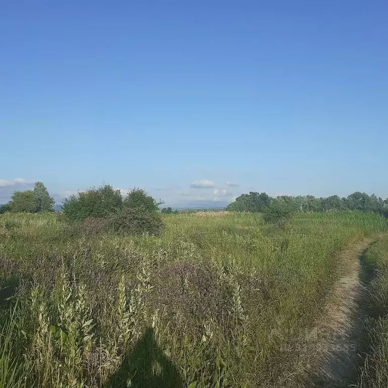 Участок в Краснодарский край, Анапа муниципальный округ, Рассвет хут. ... - Фото 2