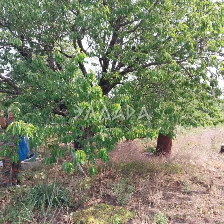 Участок в Ростовская область, Аксайский район, Большелогское с/пос, ... - Фото 2